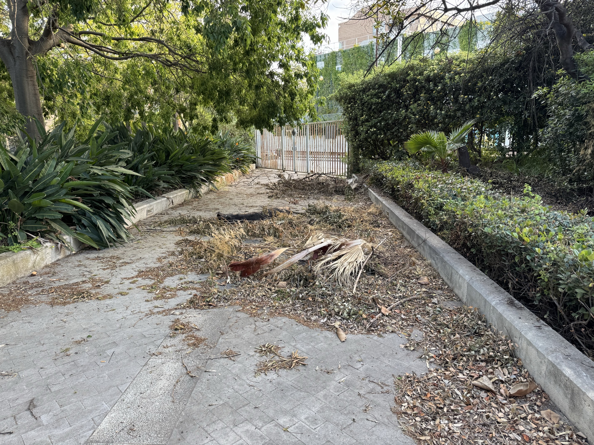 Vialetto del parco