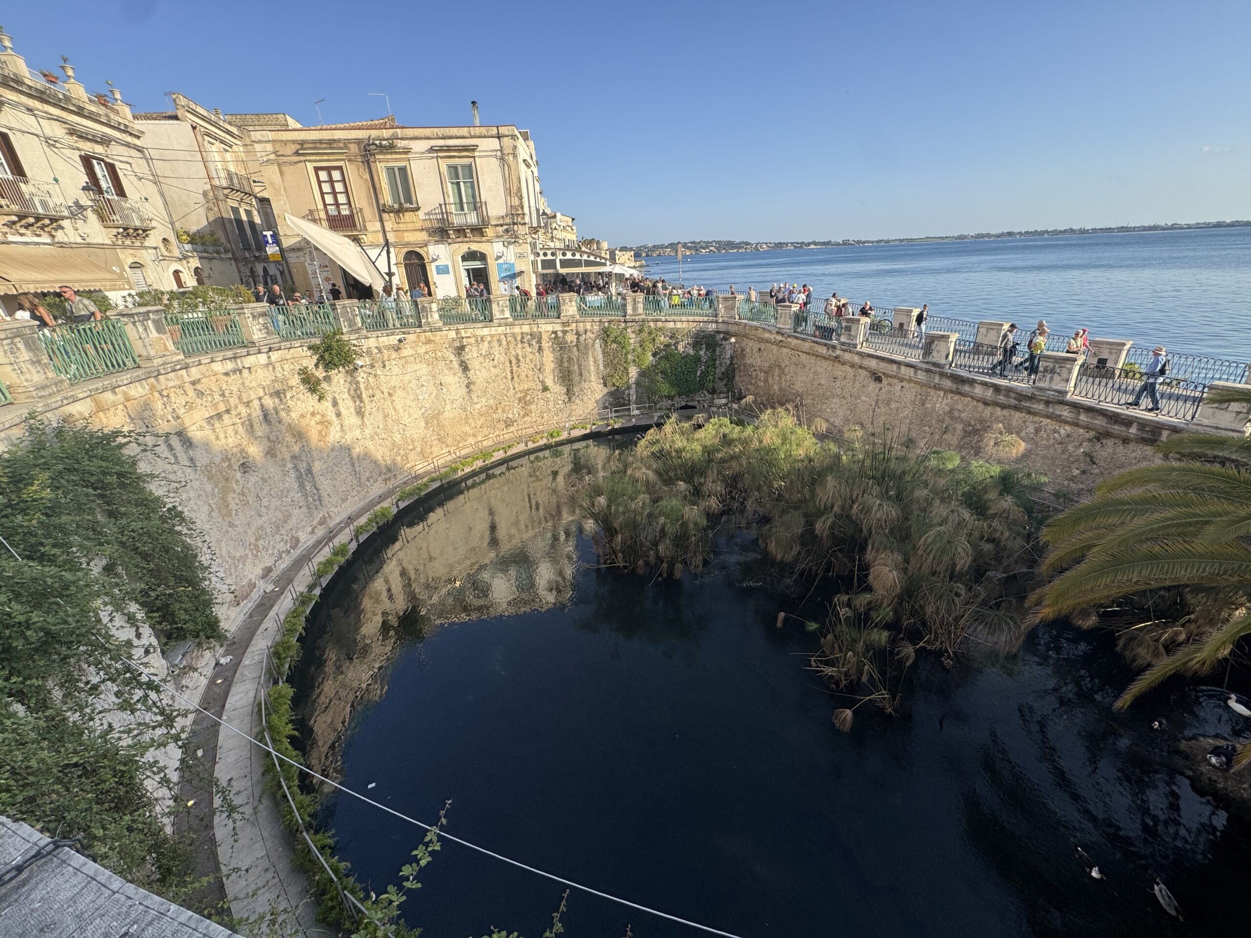 Belvedere di Largo Aretusa con il bacino della Fonte Aretusa e i palazzi storici della Marina di Ortigia.