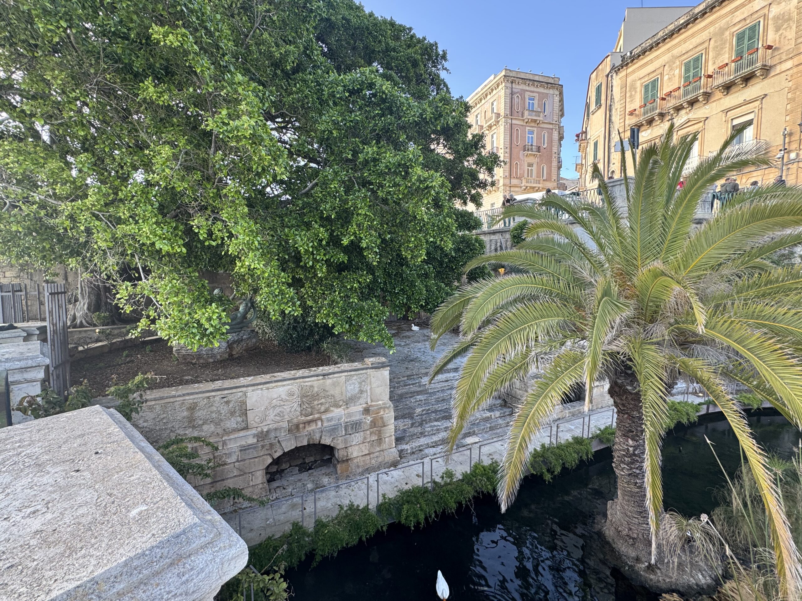 Dettaglio del muro perimetrale interno della Fonte Aretusa con archetti in pietra calcarea, ficus rampicante e palma.