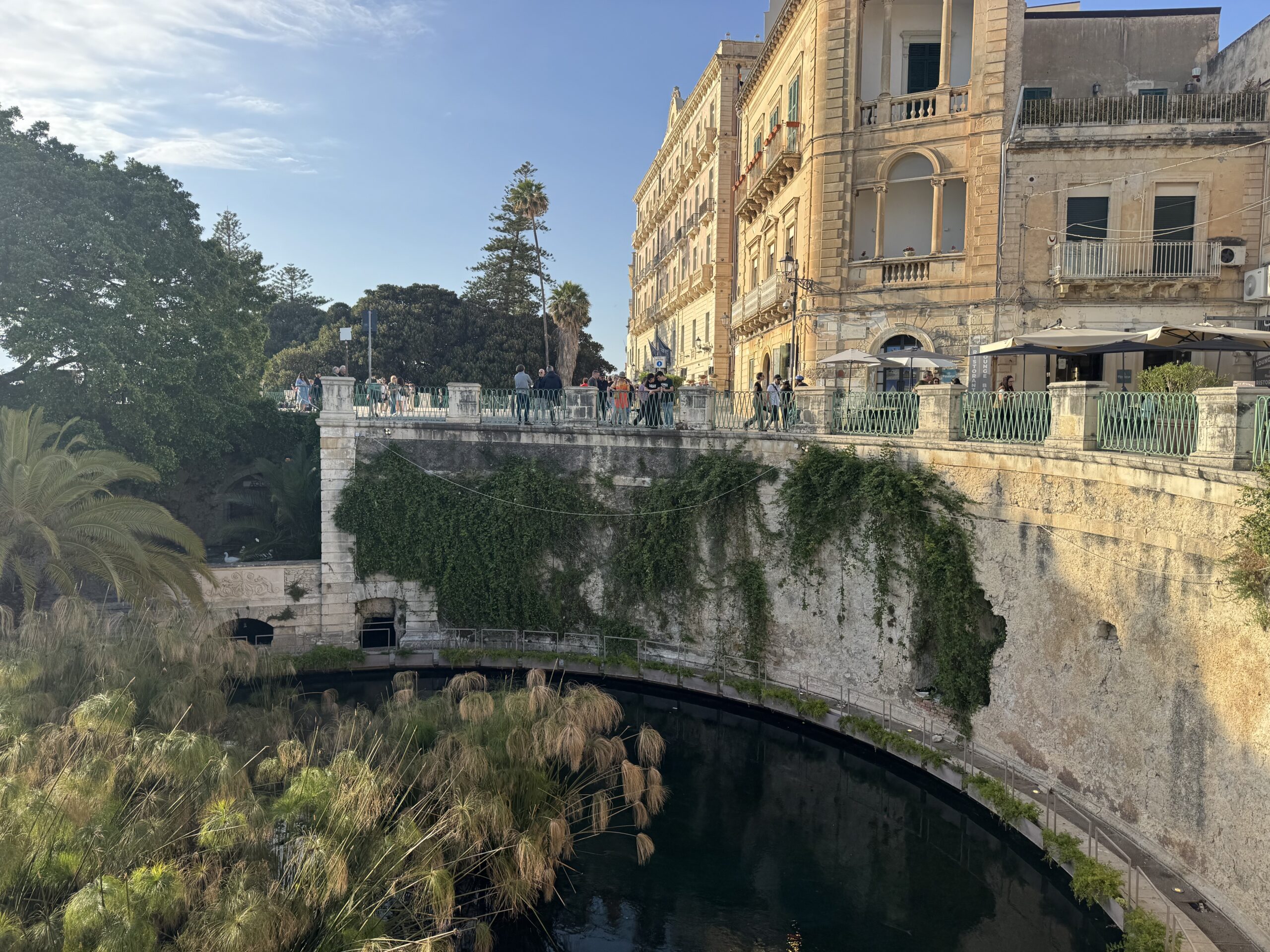 Veduta panoramica della Fonte Aretusa dal belvedere di Largo Aretusa, con il bacino semicircolare, i papiri e i palazzi storici di Ortigia sullo sfondo.