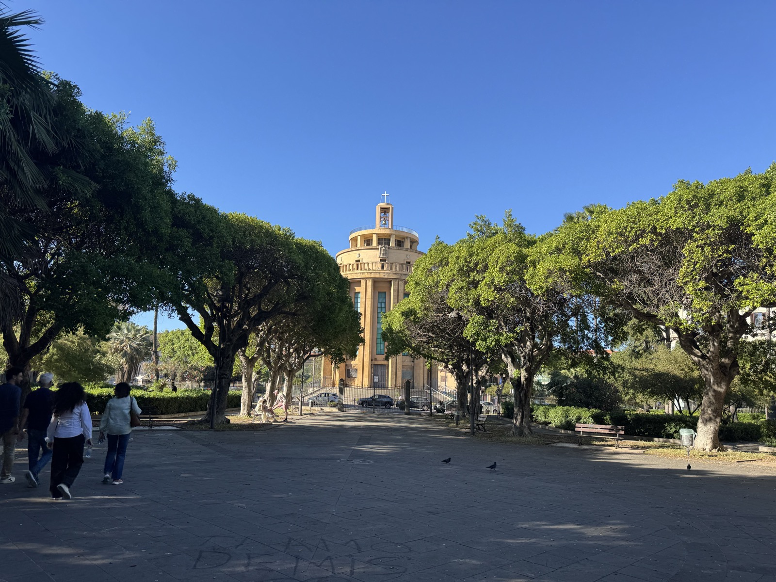 Pantheon dei Caduti visto dal piazzale antistante, con viale alberato di ficus magnolioidi che incornicia la prospettiva e pavimentazione in pietra in primo piano.