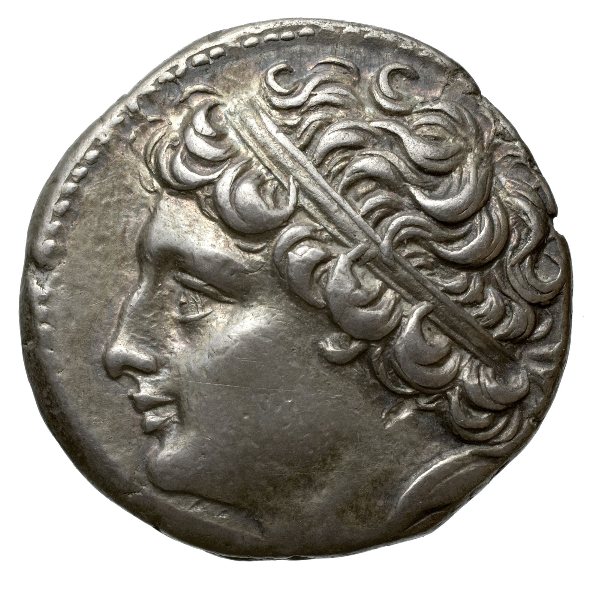 Testa diademata di Gelone II su un didramma d'argento di Siracusa