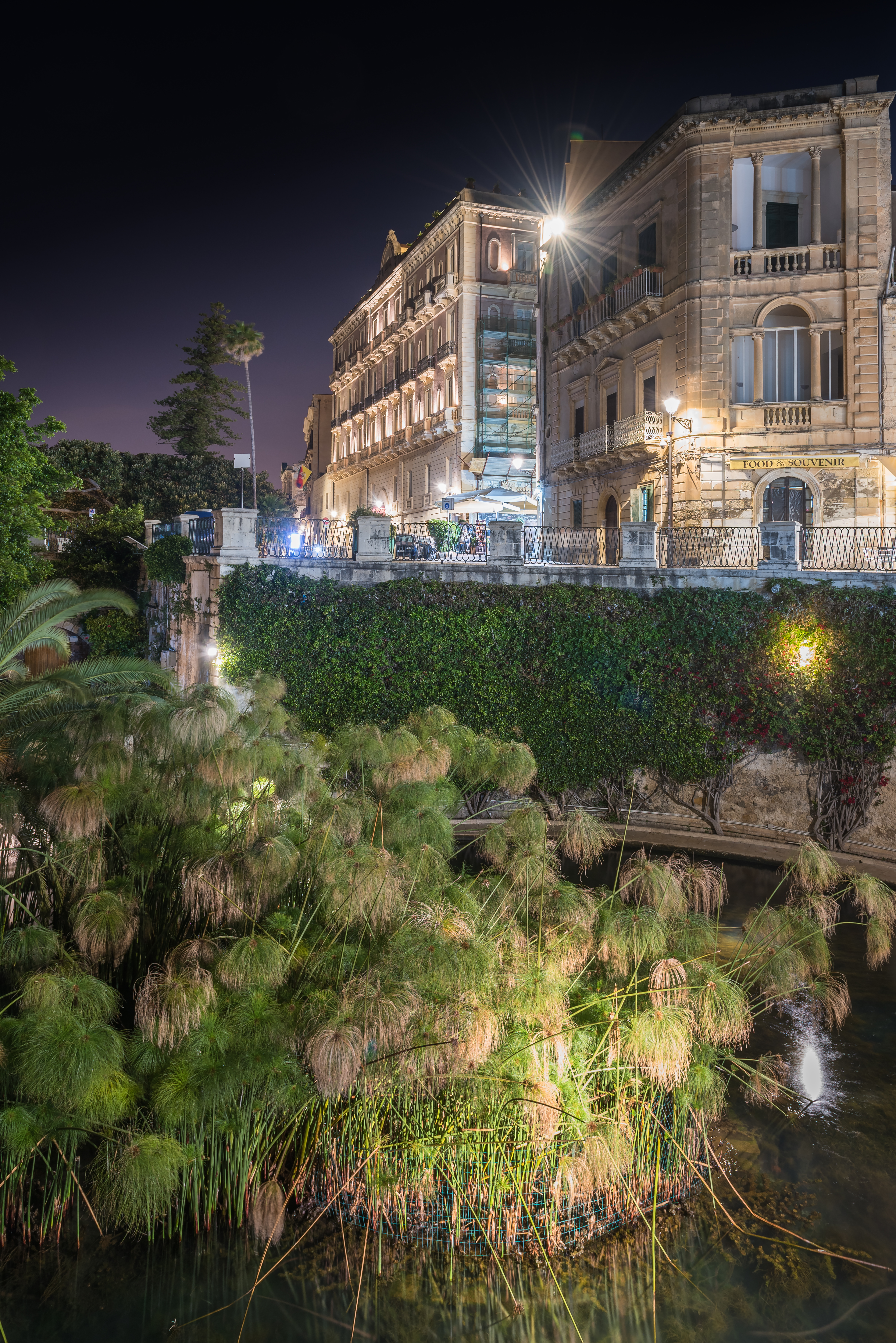 La fonte Aretusa a Ortigia con i papiri