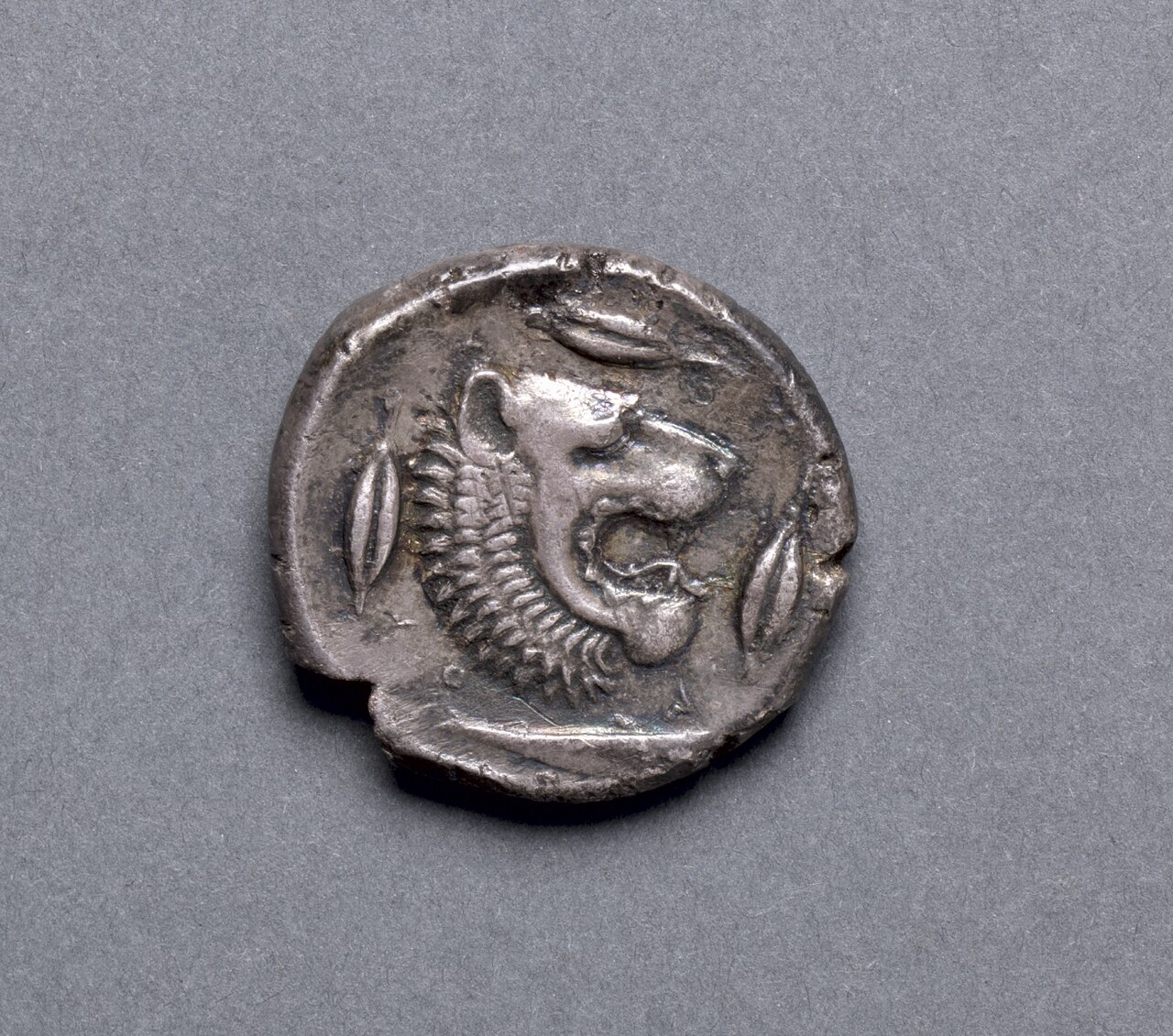 Il rovescio di un tetradramma di Leontinoi con la testa di leone