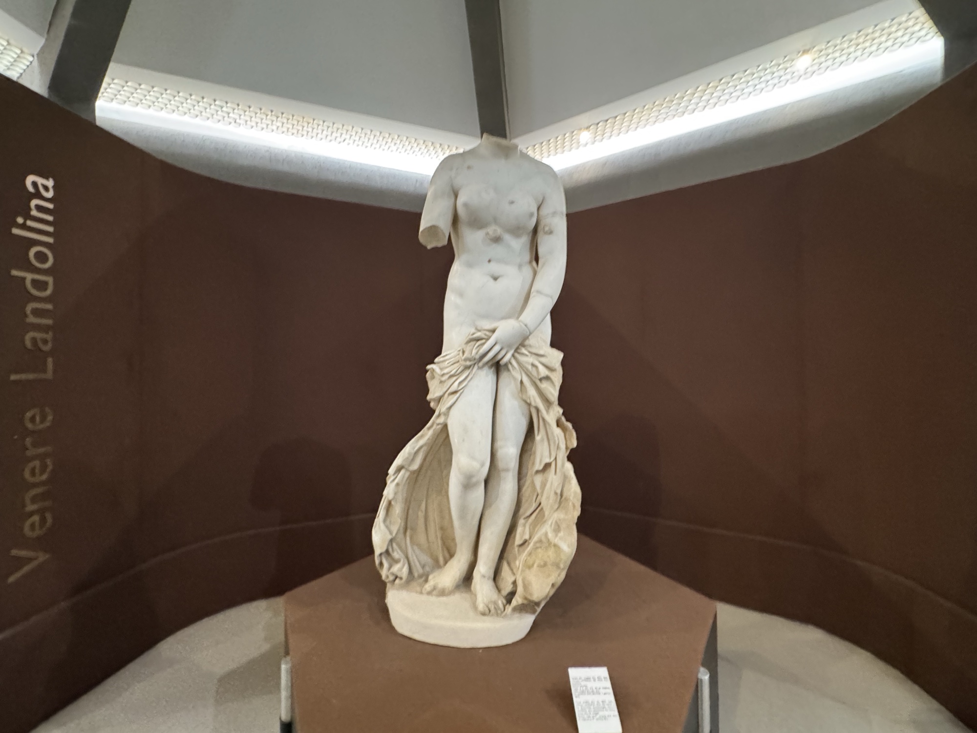 Veduta frontale della Venere Landolina nella sua sala, con la parete che ne riporta il nome