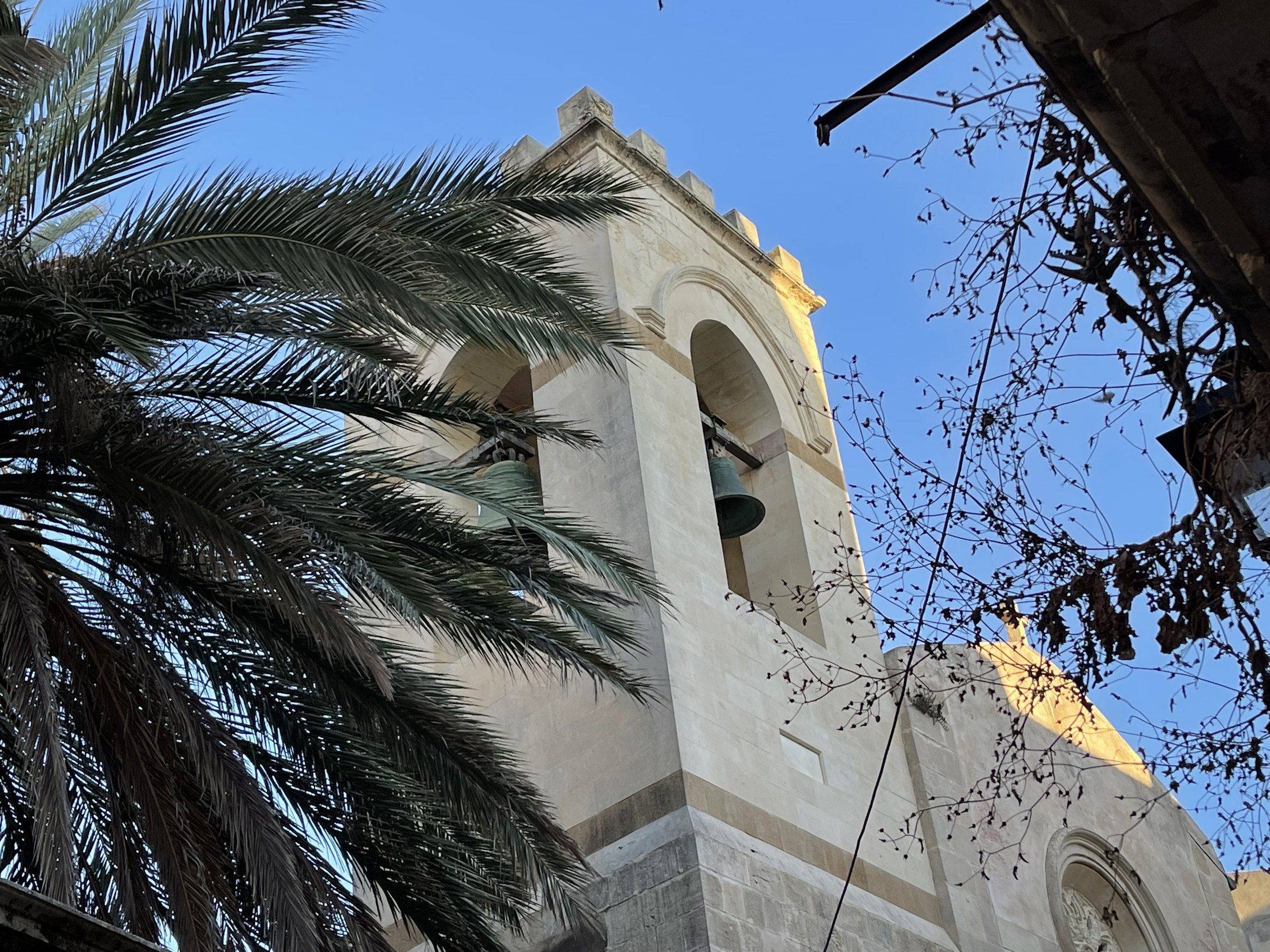 Il campanile visto dal basso fra le fronde di una palma, con due campane visibili nelle celle